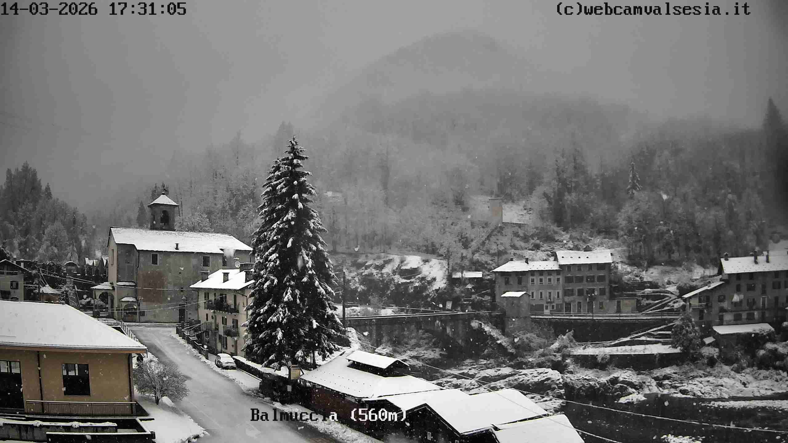 immagine della webcam nei dintorni di Bielmonte: webcam Balmuccia