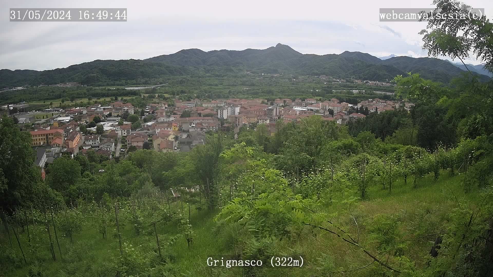 immagine della webcam nei dintorni di Borgomanero: webcam Grignasco