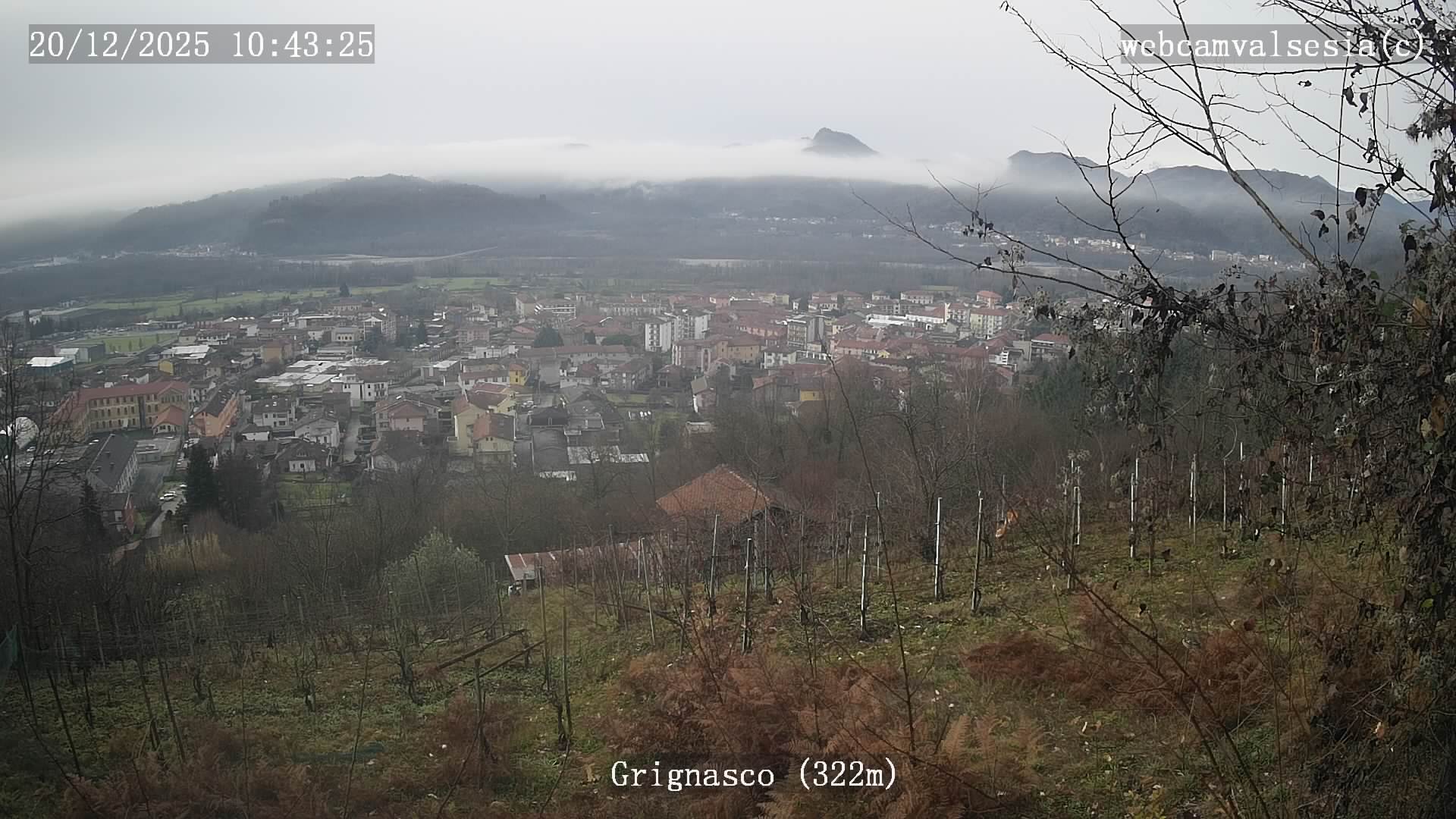 immagine della webcam nei dintorni di Verrone: webcam Grignasco
