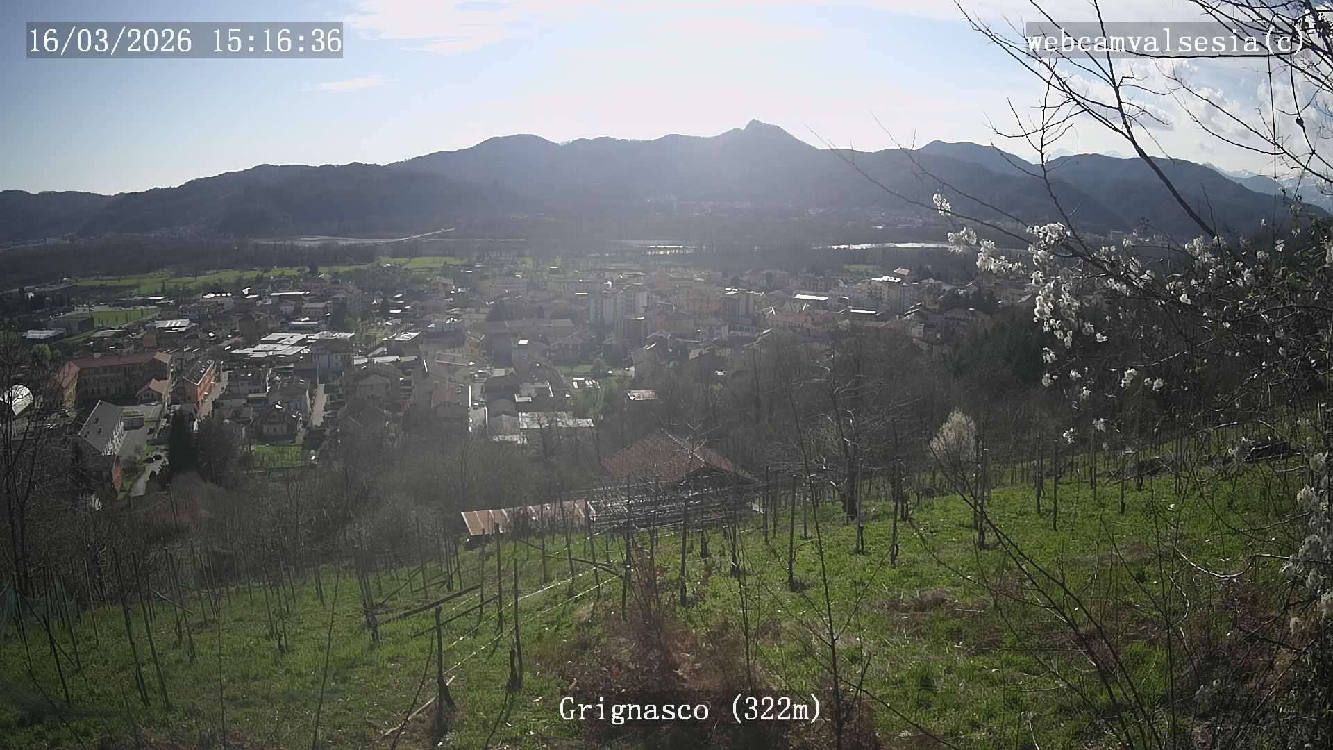 immagine della webcam nei dintorni di Gattinara: webcam Grignasco