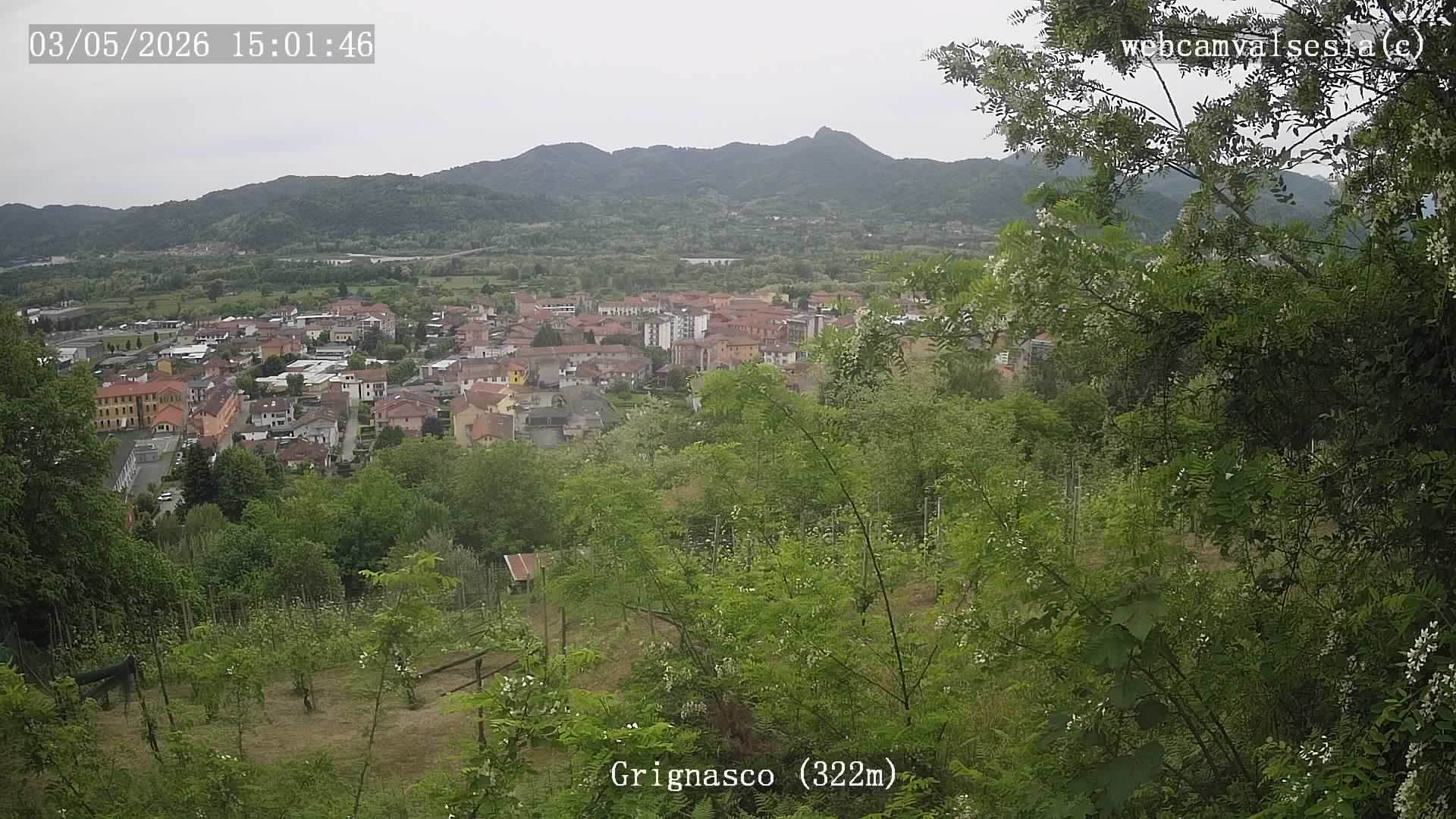 immagine della webcam nei dintorni di Gattinara: webcam Grignasco