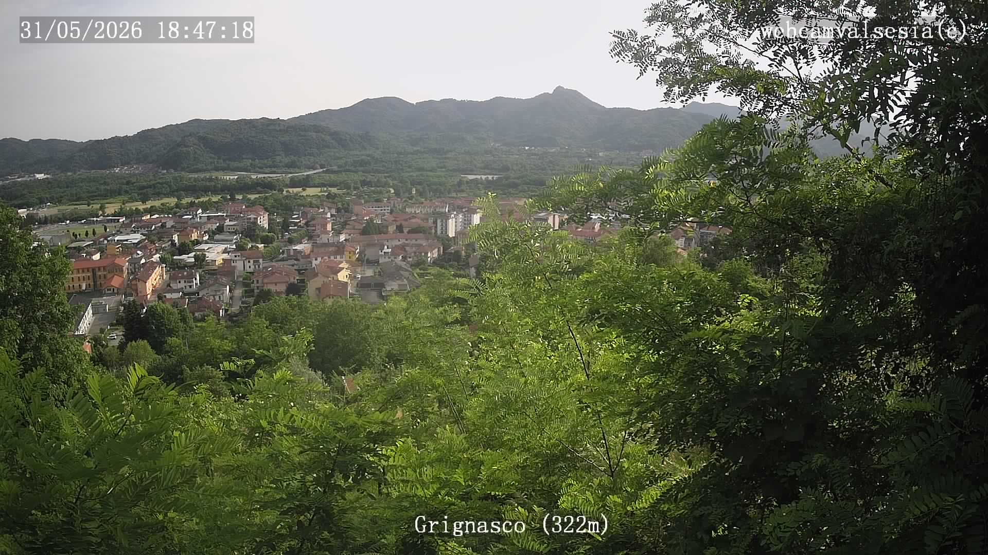 immagine della webcam nei dintorni di Vicolungo: webcam Grignasco